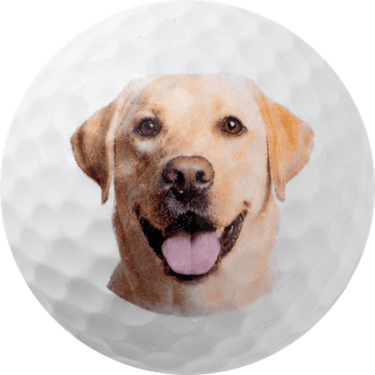Dog photo golf ball, front